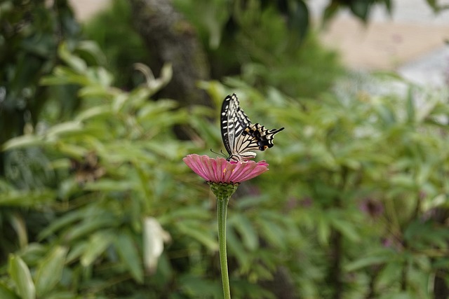 分和